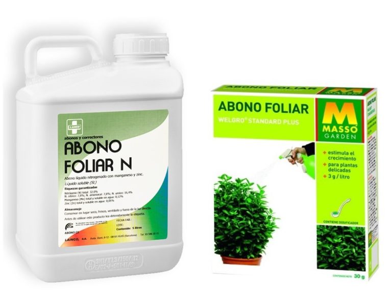 Descubre Las Ventajas Del Abono Foliar